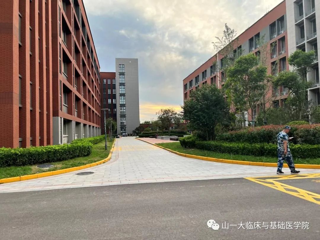 suncitygroup太阳集团