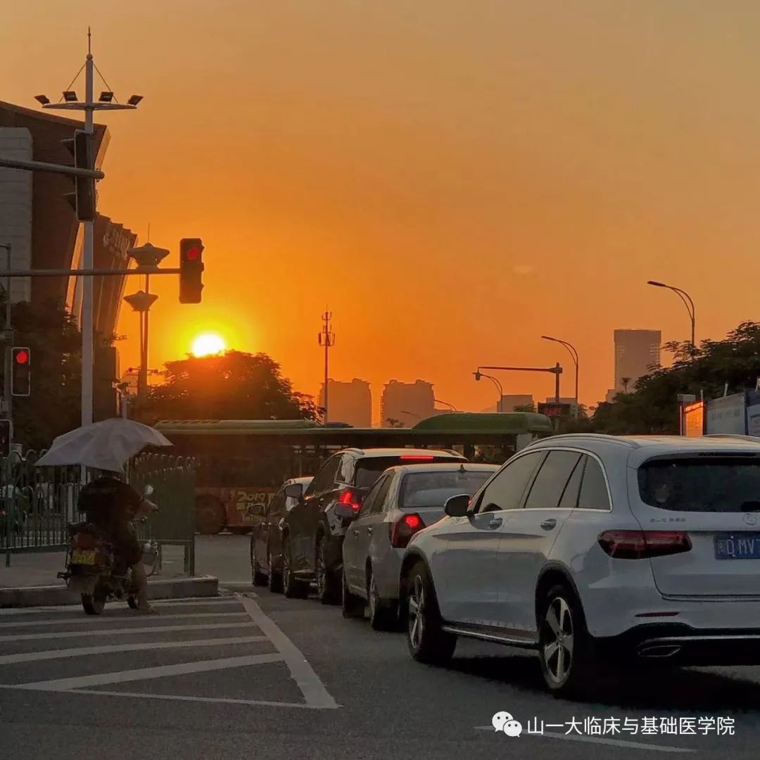 suncitygroup太阳集团