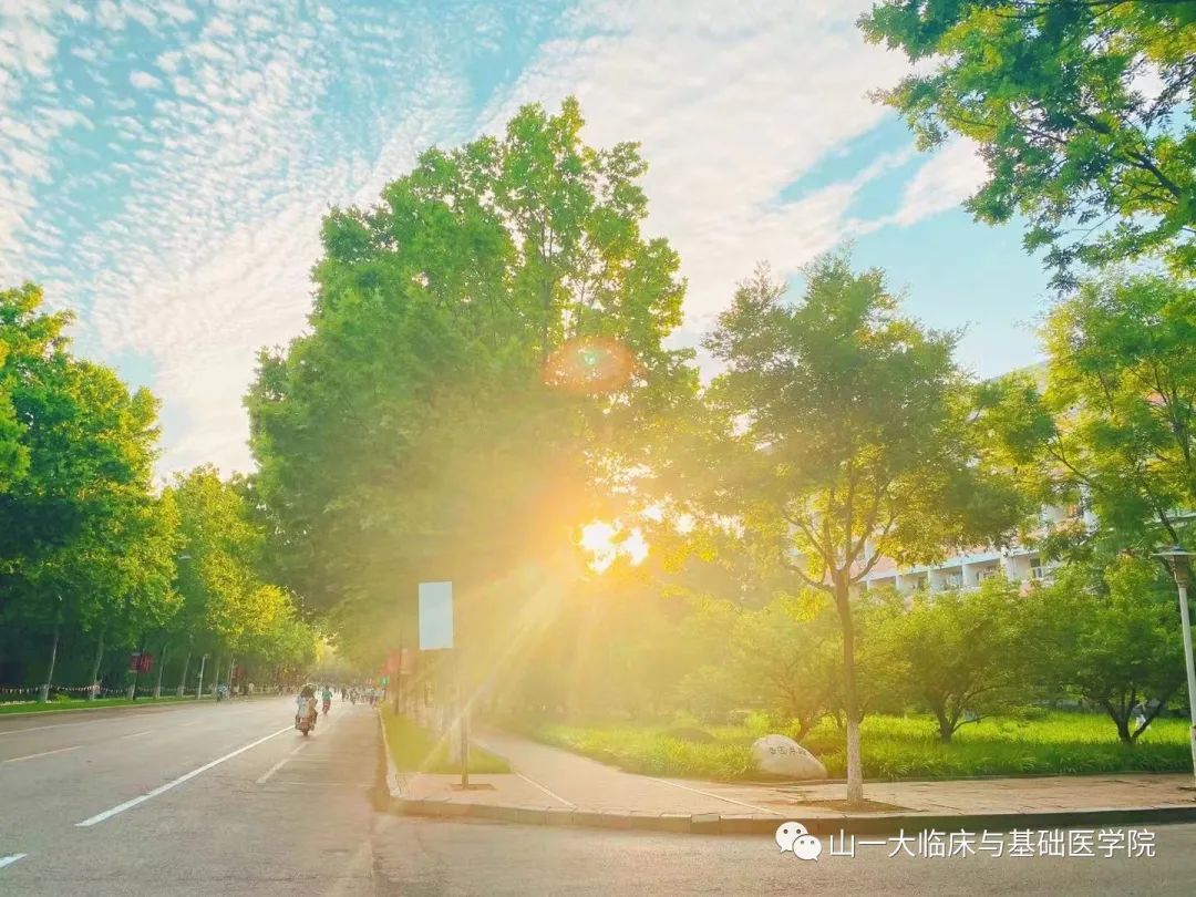 suncitygroup太阳集团