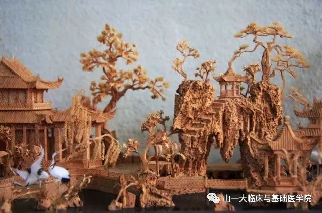 suncitygroup太阳集团