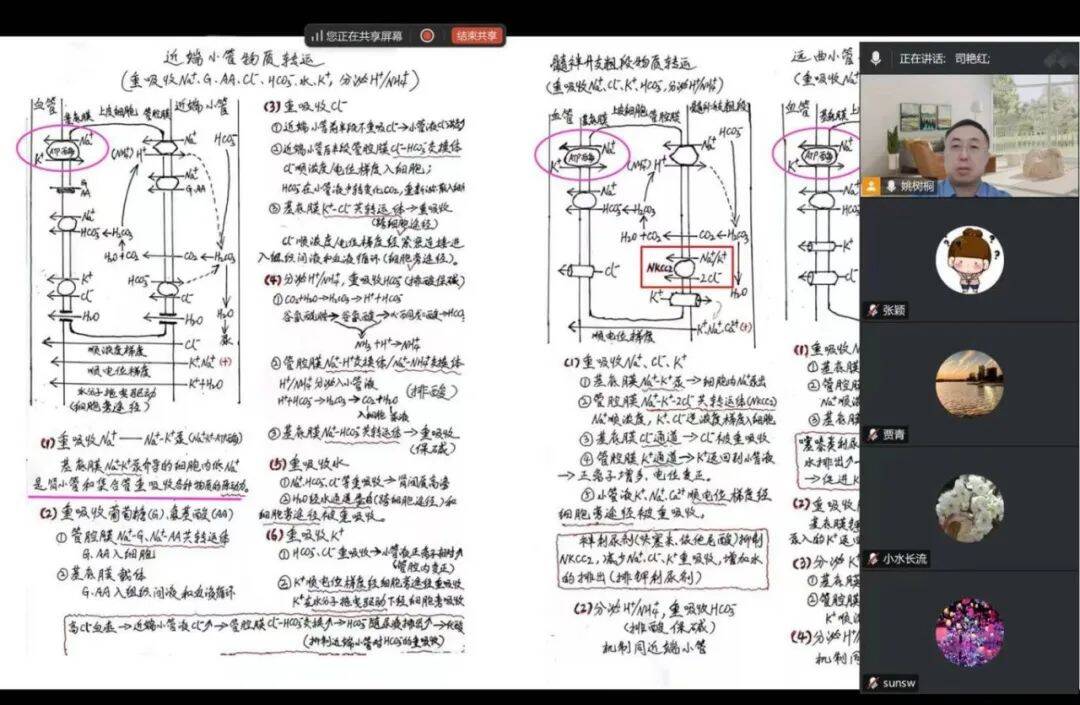 suncitygroup太阳集团