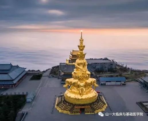 suncitygroup太阳集团