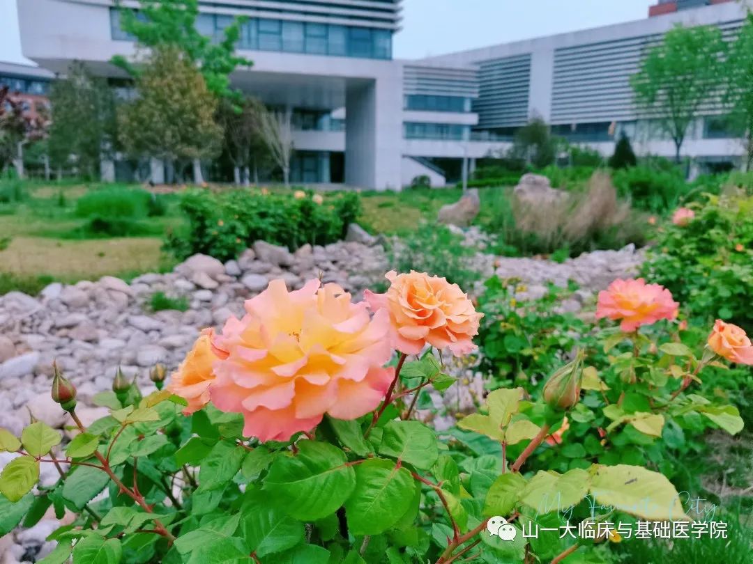 suncitygroup太阳集团