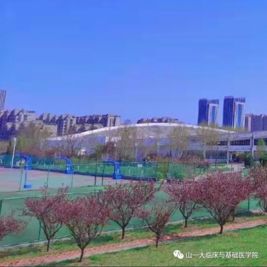 suncitygroup太阳集团