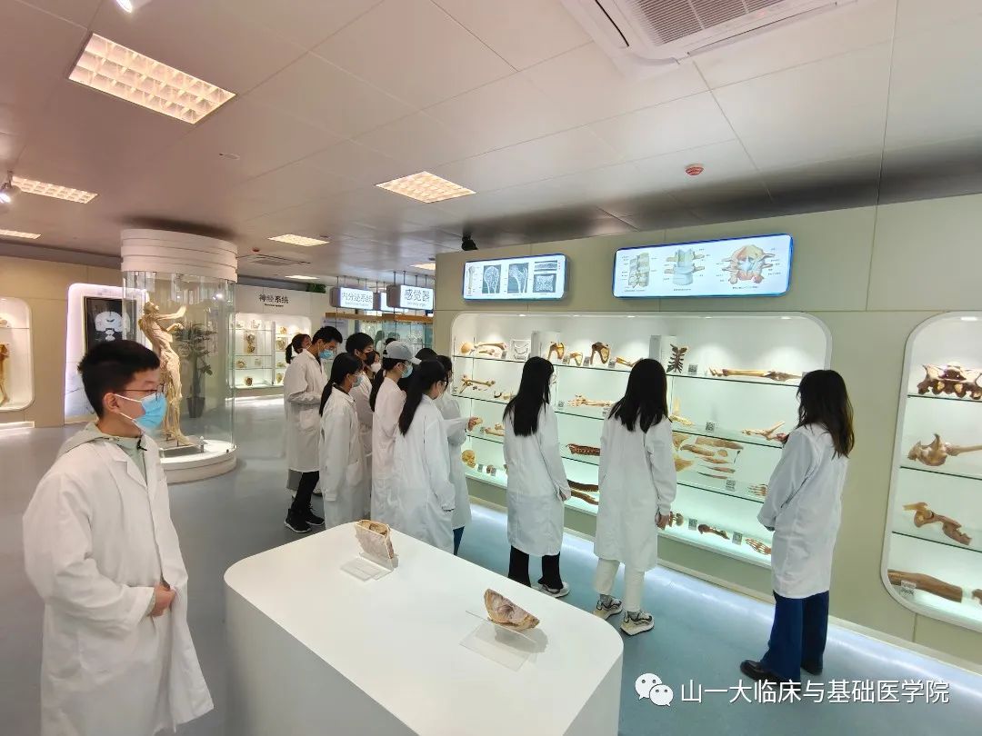 suncitygroup太阳集团