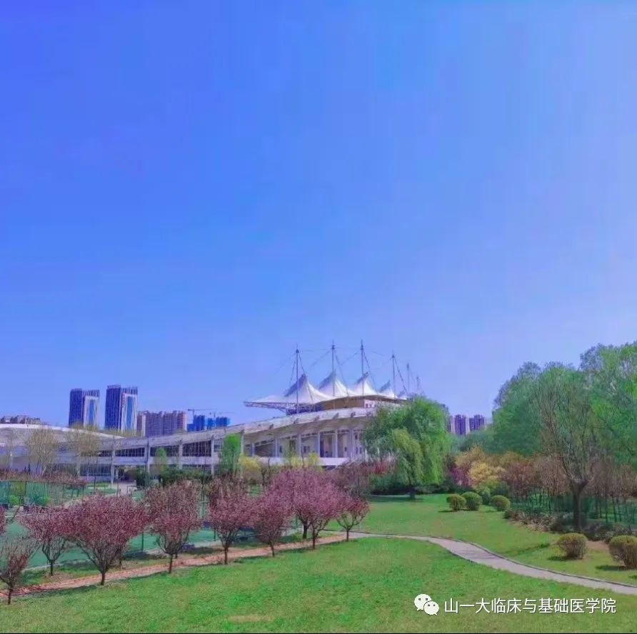 suncitygroup太阳集团